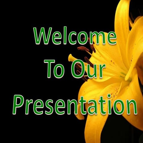 Theories of Motivation in Organizational Behavior