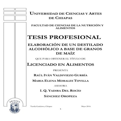 Bebidas fermentadas | PDF