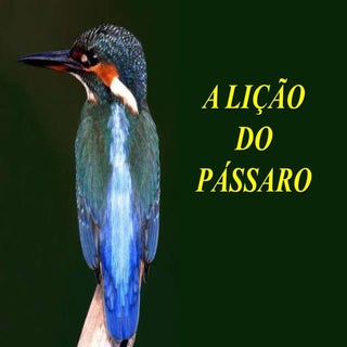 A liçao do_passaro