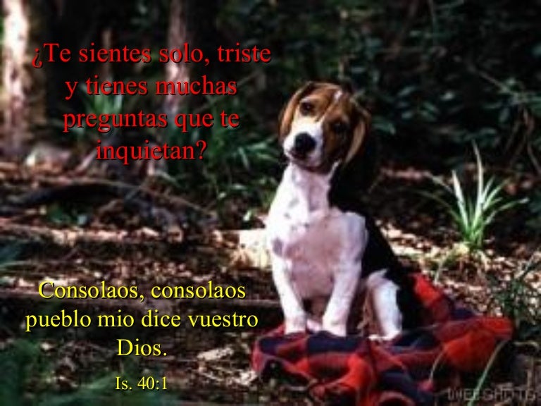 Aliento