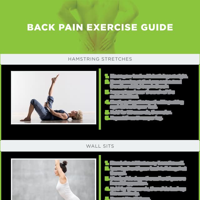 Back Pain Exercise Guide