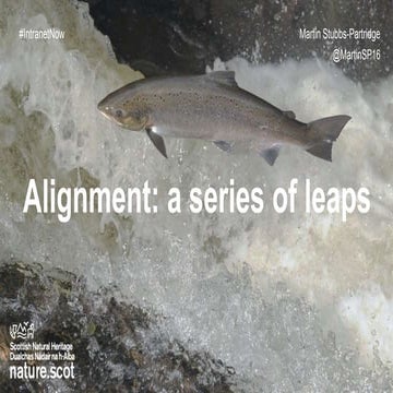 Alignment a series of leaps — Martin Stubbs-Partridge — Scottish Natural Heri...