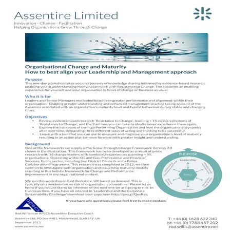 Alignment workshop organisation change and maturity 2013