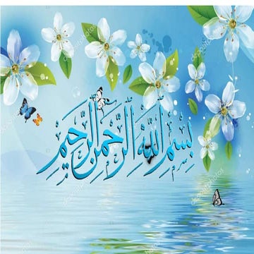 TURTLES VS TORTOISES