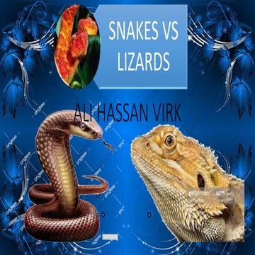 SNAKES VS LIZARDS