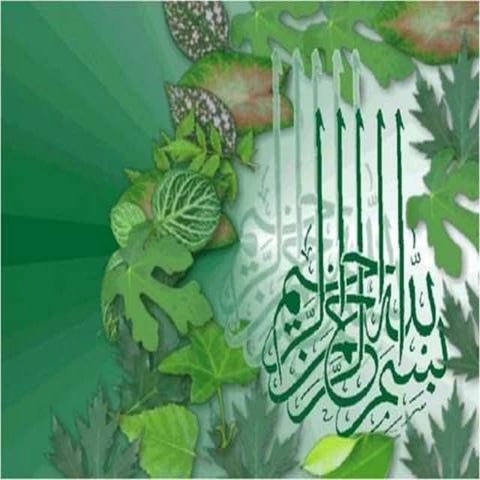 what is a library and library history