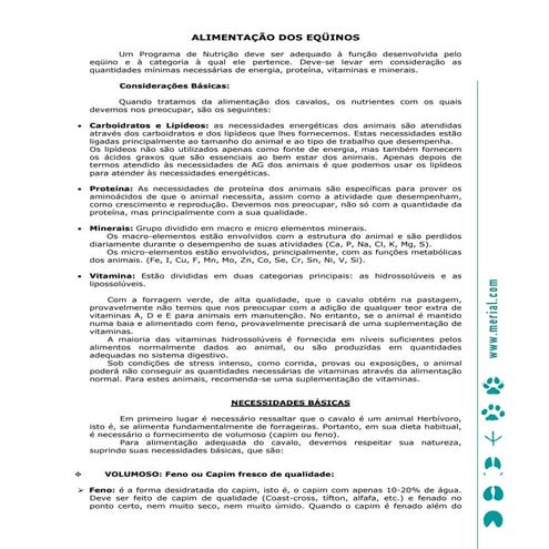 Alimentacao dos equinos