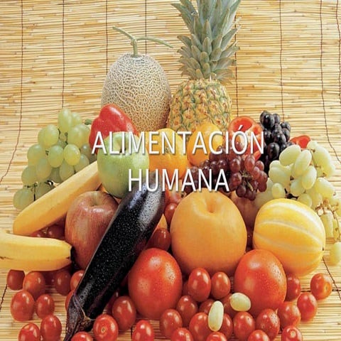 Alimentación humana