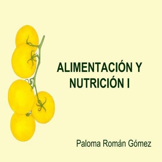 Alimentación y Nutrición I