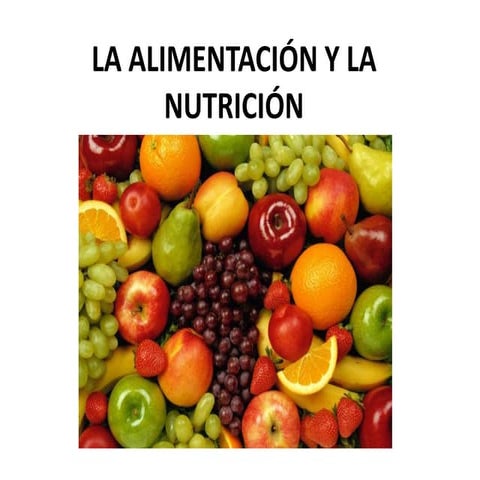 Alimentación y nutrición
