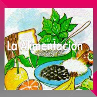 Alimentacion+