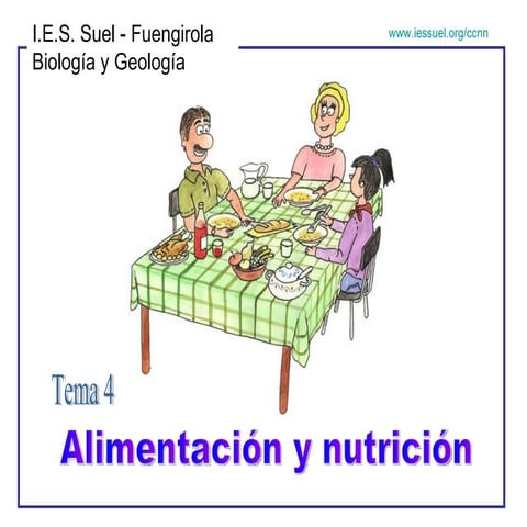 Alimentacion Y Nutricion
