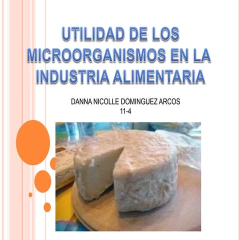 Utilidad de los microorganismos en la industria alimenticia | PPTX