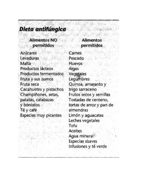 Alimentos prohibidos y permitidos c...