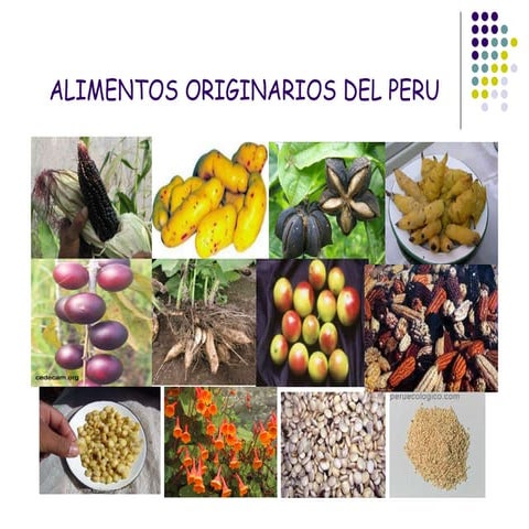 Alimentos originarios del peru | PPT
