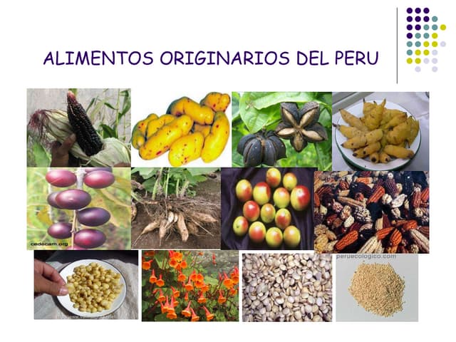 Alimentos originarios del peru | PPT