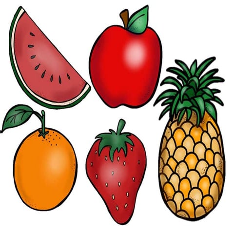 Alimentos plato del buen comer lilo