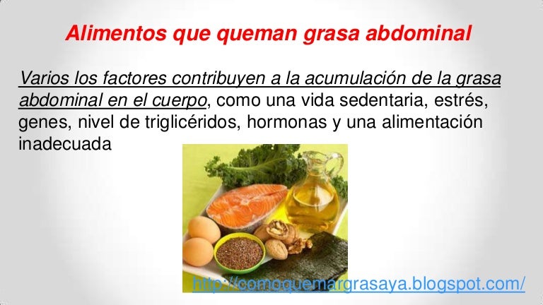 alimentos que queman grasas