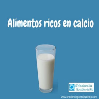 Alimentos ricos en calcio