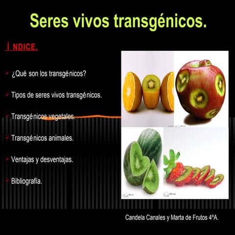 Alimentos transgénicos (biología y geología)    candela y marta.f  4ºa