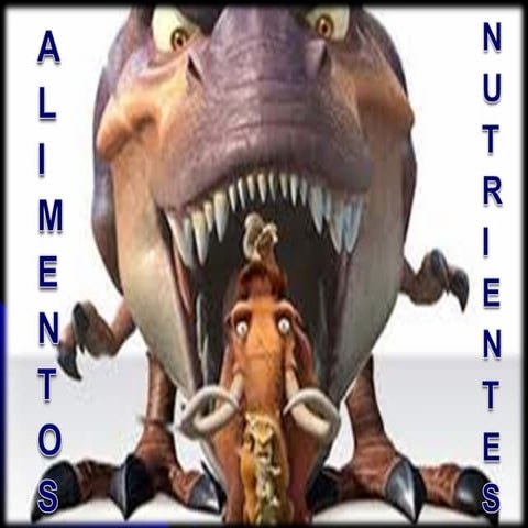 Alimentos y nutrientes