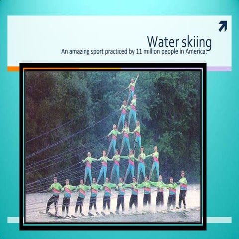 Alina search project