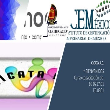 Alineación al estándar de competencia 0217,01 del CICFMAC | PPTX