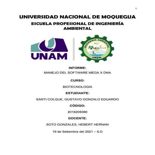 PRACTICA VIRTUAL – MEGA: MOLECULAR EVOLUTIONARY GENETICS ANALYSIS | PDF