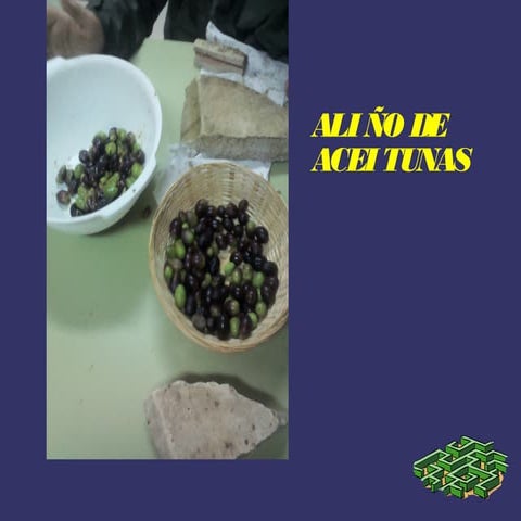 Aliño de aceitunas
