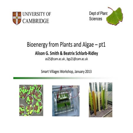 Cambridge | Jan-14 | Bioenergy from Plants and Algae: Plant Biomass and Algae...