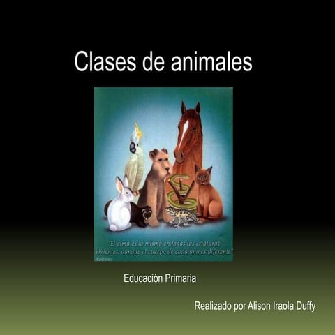 Alison Terminado Final