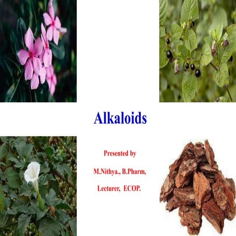 ALKALOIDS I D.Pharm ER-20:13T
