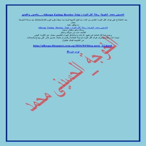 الحسينى محمد ( الخوجة ) فوائد اكل التوت  Alkoga eating natural egyptian blackberries