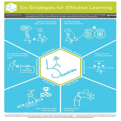 Learning strategies | PDF