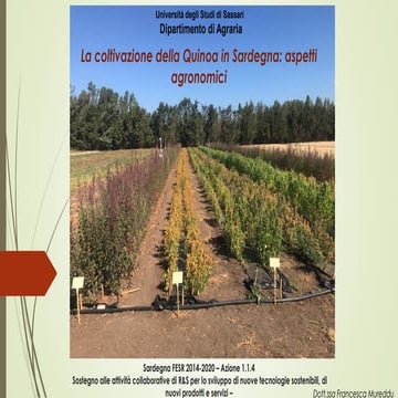 Innoquinoa - Report quinto semestre attività agronomica