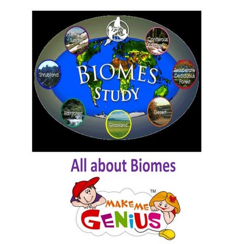 Biomes Facts 