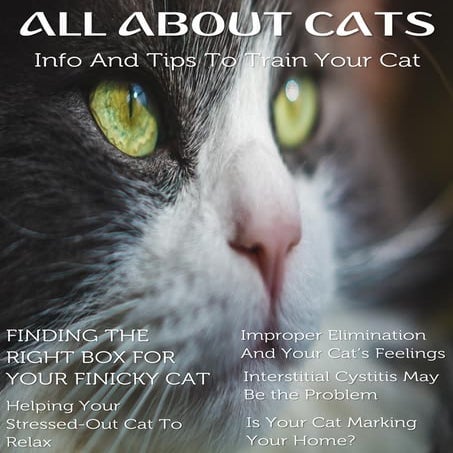 All About Cats | PDF