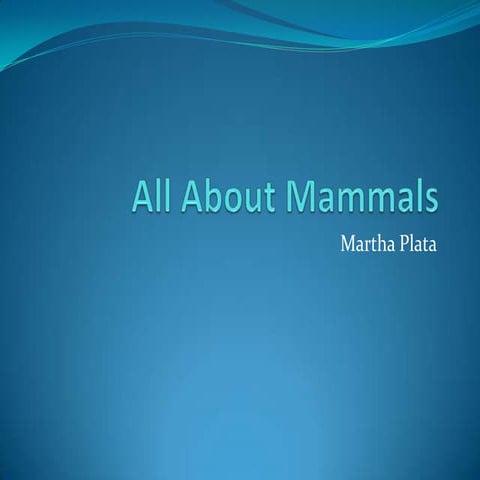 All about mammals