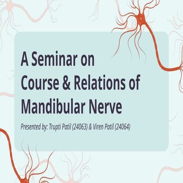 All About Nerve Cells by Slidesgooooo.pptx