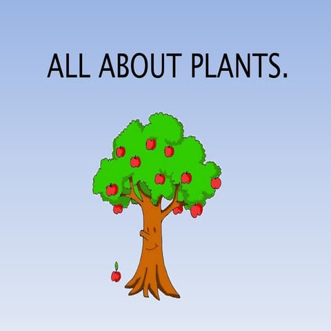 All about plants