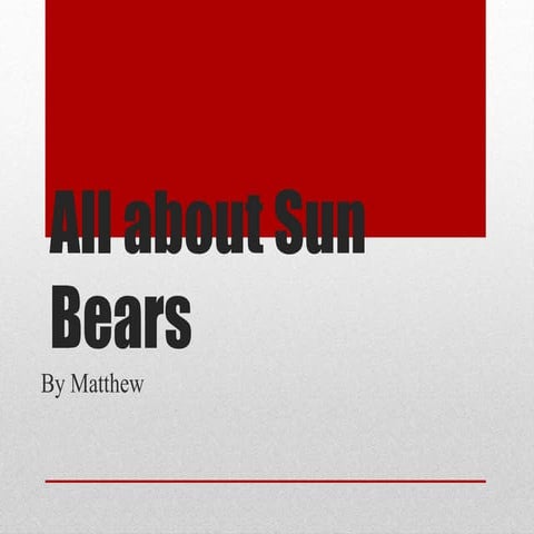 All about Sun Bears | PPT