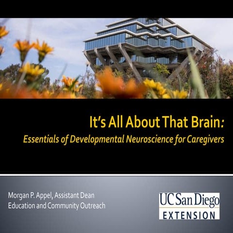 It's All About That Brain: Essentials of Developmental Neuroscience for Careg...