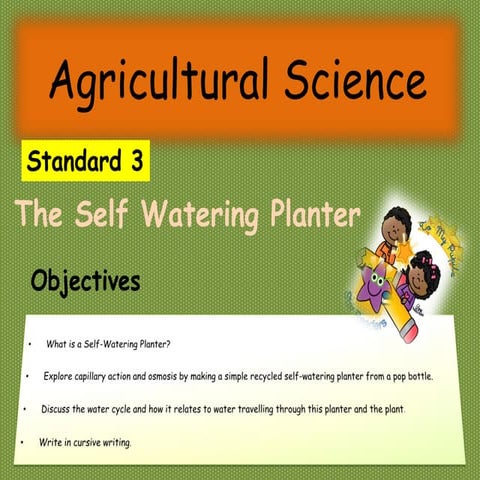 All About the Self - Watering Planter