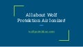 All about wolf protektion air ionizer! 1 allaboutwolfprotektionairionizer 211115060428 thumbnail 2
