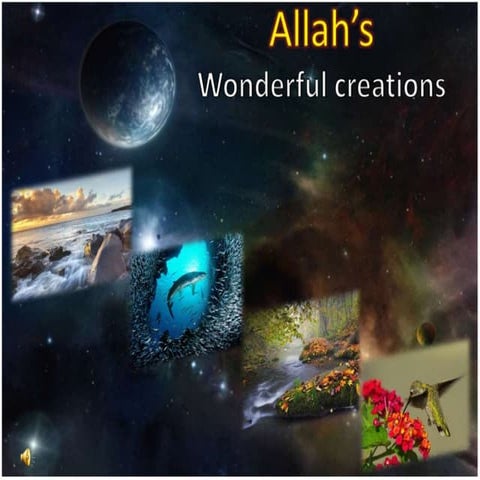 Allah’s wonderful creations by Ishtyag Al-Subhi