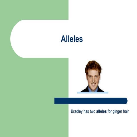 Alleles