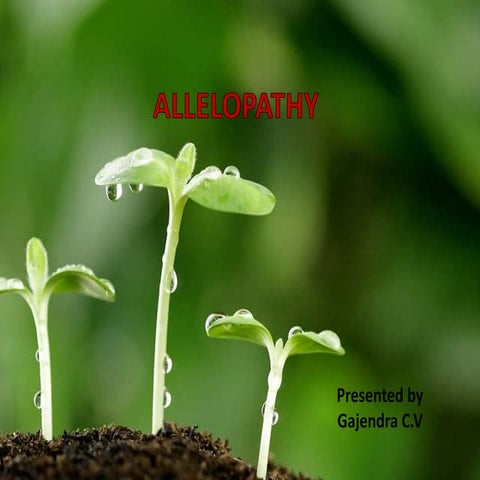 Allelopathy