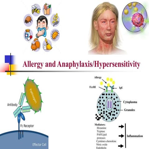 Allergy and Hypersensitivity