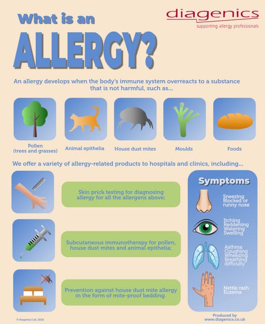 Everything You Should Know About Eczema | PDF