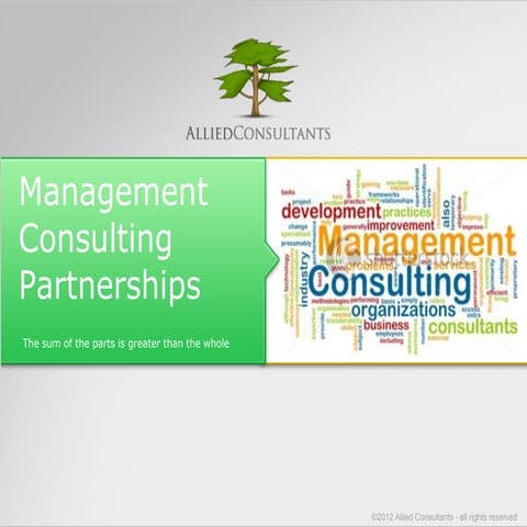 Allied Consultants - Management Consulting Partnerships